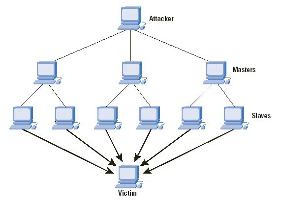 kylec2012 | Distributed denial-of-service attack (DDoS attack)